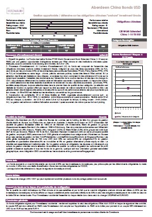 Due Diligences standard